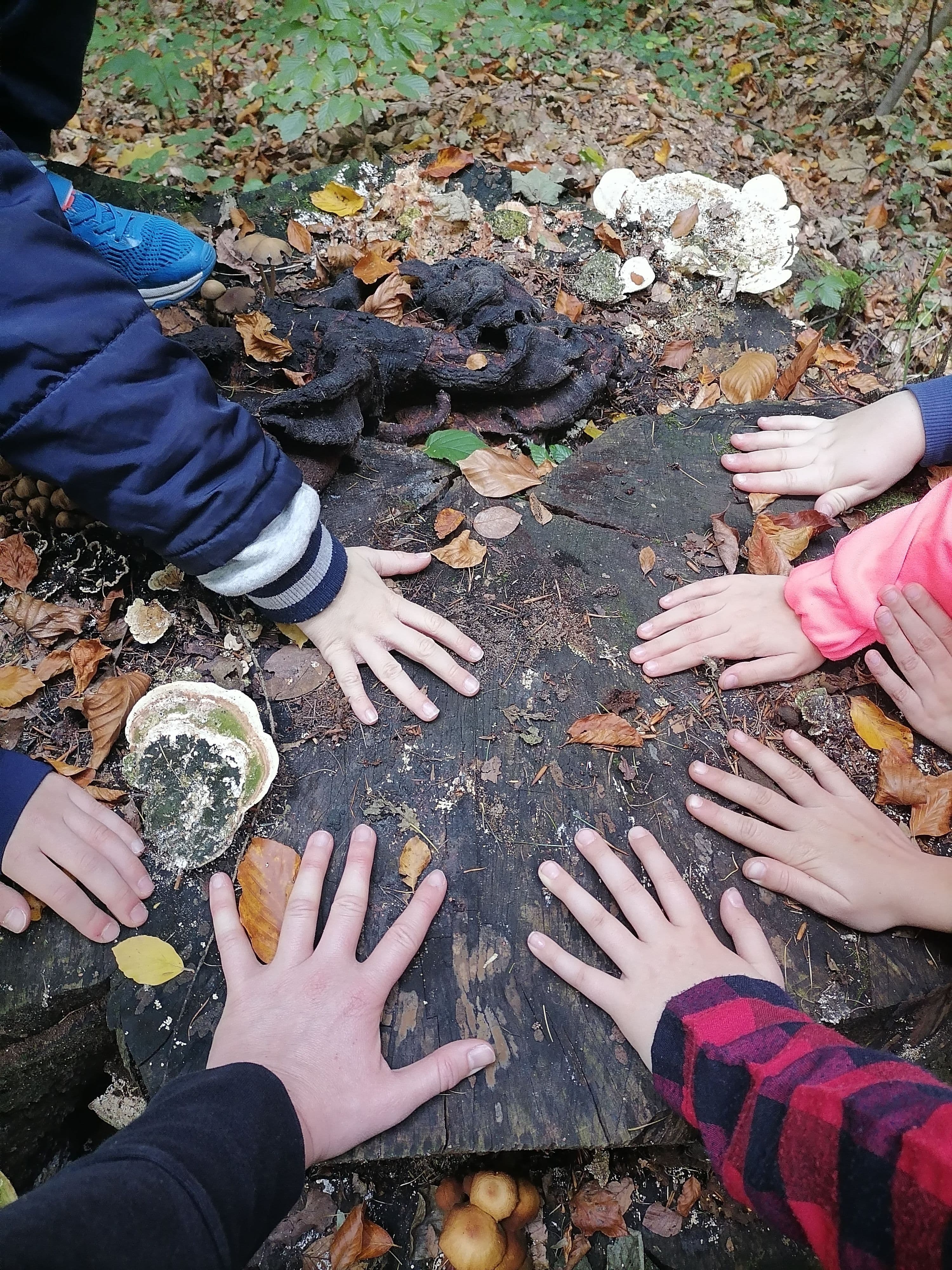 Ekosensoryka – Naturalne zabawy dla najmłodszych