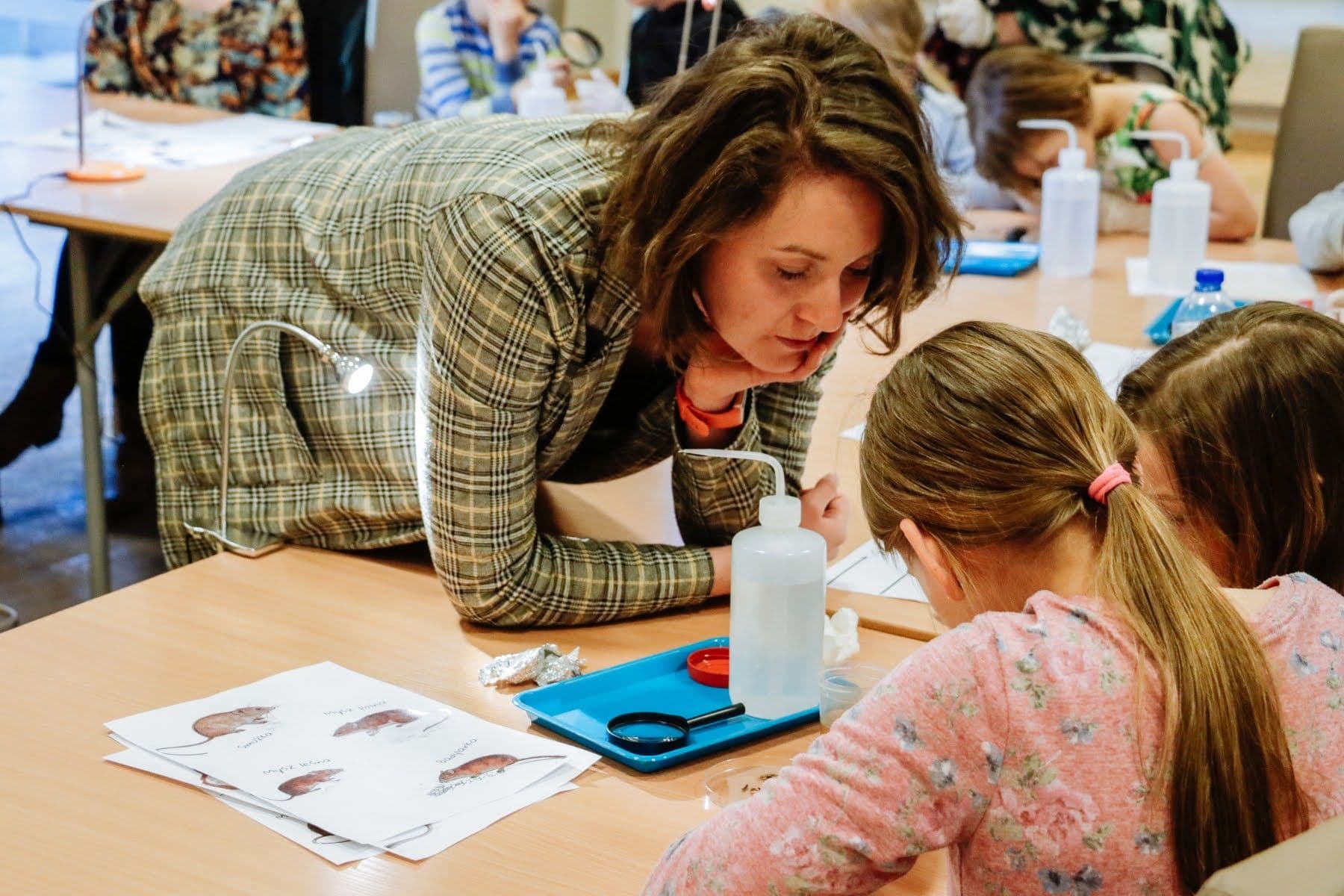 Noc Sów - sekrety nocnych ptaków