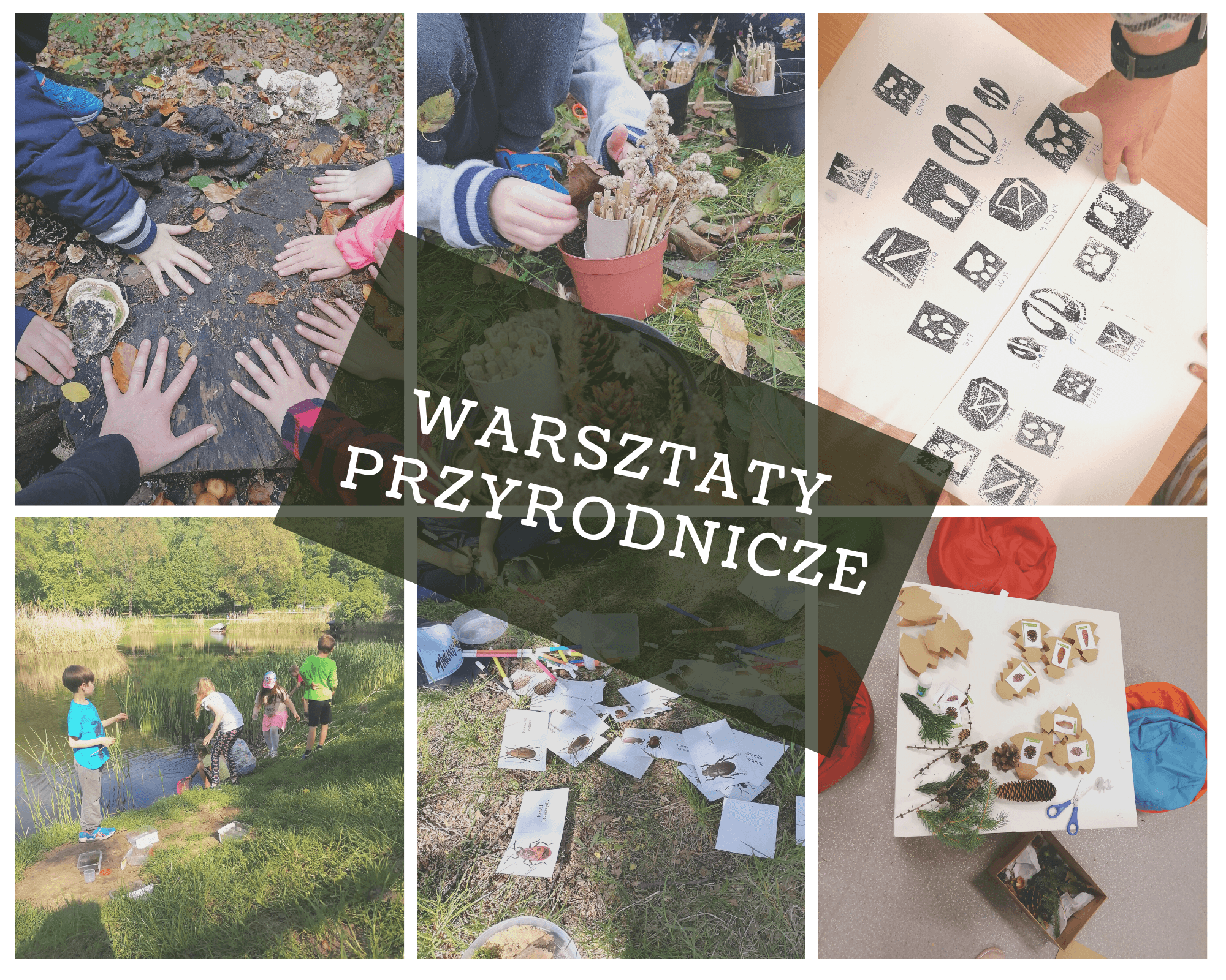 Warsztaty i eventy przyrodnicze